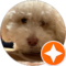 Jen B Avatar