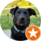 Tripp Ross Avatar