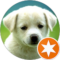 Kolby Avatar