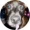 Sheri Borg Avatar