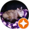 Ernest Boone Avatar