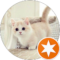 alaina sackel Avatar