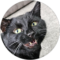 Dana S Avatar
