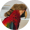 S Hammer Avatar