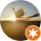 Alexis Seely-Carroll Avatar