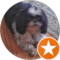 Saundra Sells Avatar