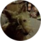 David Smith Avatar