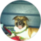 Judy Ann Morris Avatar