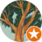 Matthew Stonestreet Avatar