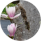 Elmira McWilliams Avatar