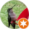 Lawrence Naquin Avatar