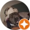 Dana McDonough Avatar