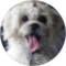 hartzella smith Avatar