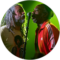 Skeeter Thompson Avatar