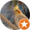 Faith Chable Avatar