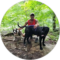 Todd Tiedeman Avatar