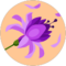Gracie Avatar