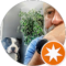 Tim Nease Avatar