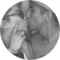 Patty Lopez Avatar