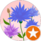 Honolulu, Hawaii Avatar