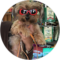 MK Avatar