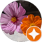 Jamie Kirchmeier Avatar