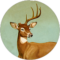 Steve Simpson Avatar