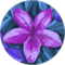 Nicole Heinsohn Avatar