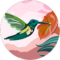 Jill Wright Avatar