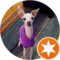 Marianne Wink Avatar