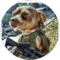Matt “Bowzer” Seigler Avatar