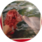 suzanne sherman Avatar