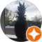 Shaun S. Wood Avatar
