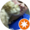 Laura Monroe Avatar