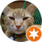 Hariton Wilson Avatar