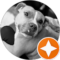 Crys Sine Avatar