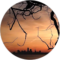 K Kray Avatar