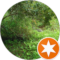 jj inc Avatar