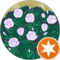 Miss Meme Avatar