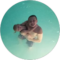 Leigh Landsaw Avatar