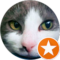 M B Avatar