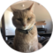 Butch Severino Avatar