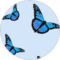 Jadynn McCann Avatar