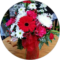 June Schuster Avatar