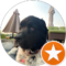 Sammie The Newfie Avatar