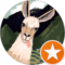 Dawn Trimmer Avatar