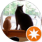 mark s Avatar