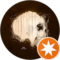 Allen Medina Avatar