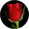 Mo Kay Avatar