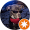 F Nyce Avatar